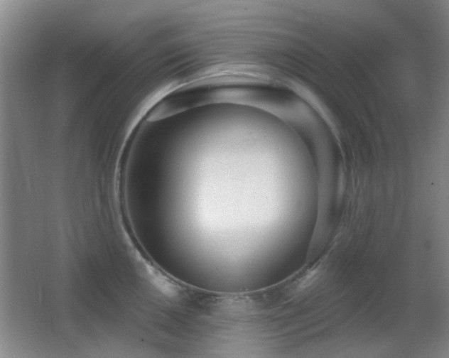 X0000062911050200601131421