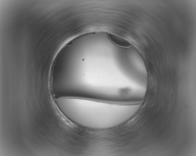 X0000062911052200601131421