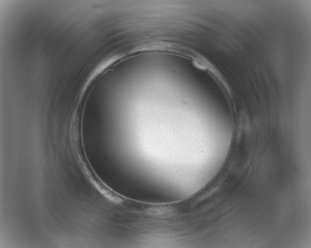 X0000062911053200601131421