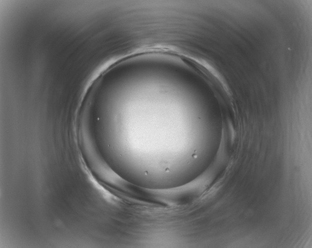 X0000062911054200601131421