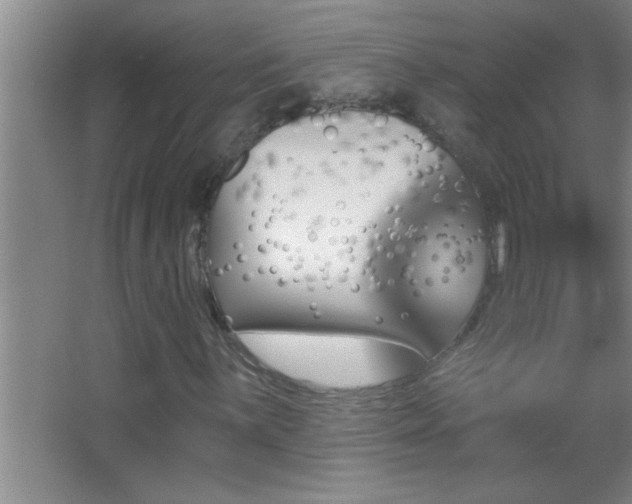 X0000062911059200601131420