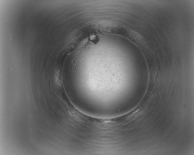 X0000062911060200601131420