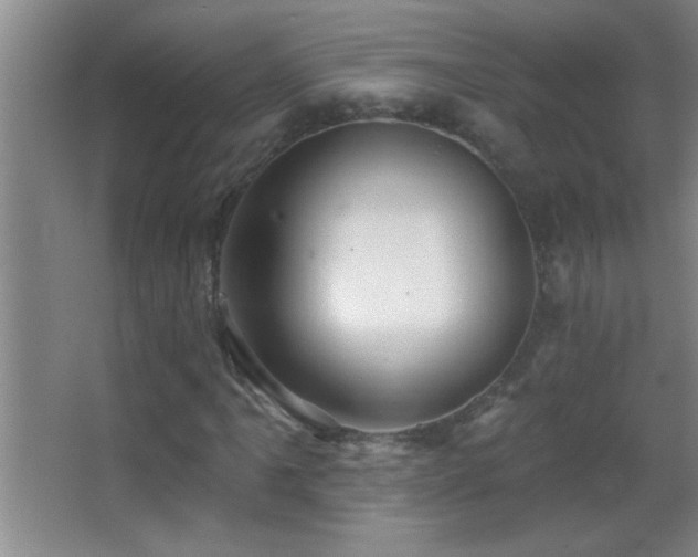 X0000062911061200601131420