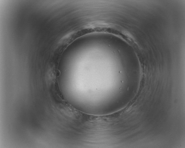 X0000062911063200601131420