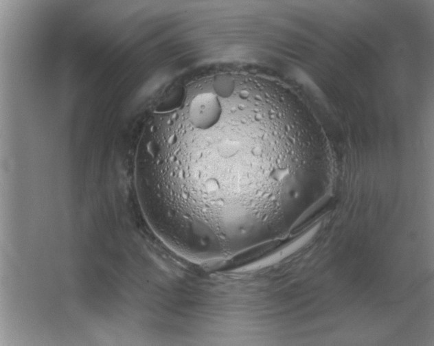 X0000062911064200601131420