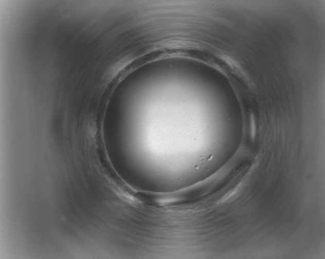 X0000062911065200601131420