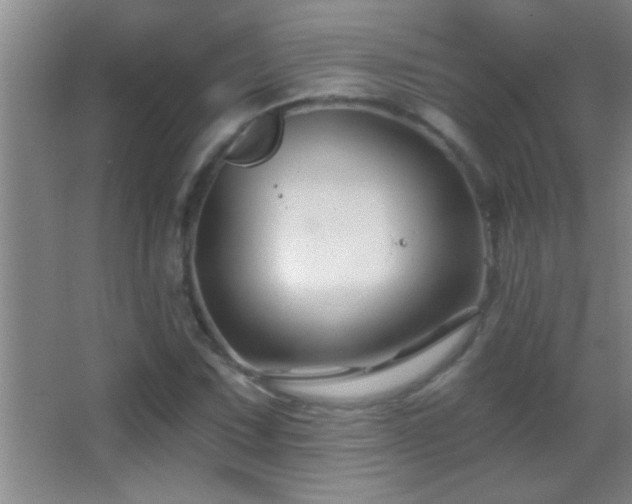 X0000062911067200601131420