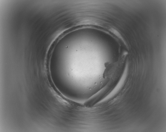 X0000062911068200601131420