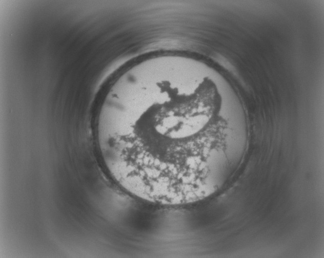 X0000062911070200601131420