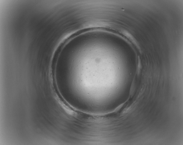 X0000062911072200601131420