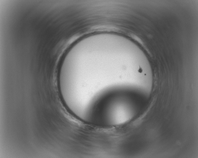 X0000062911074200601131420