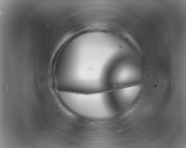 X0000062911075200601131420