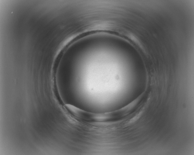 X0000062911077200601131420