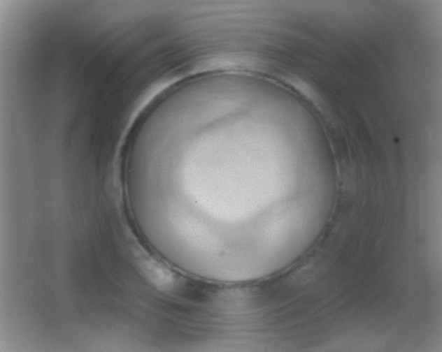 X0000062911078200601131420