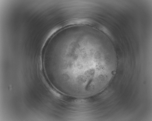 X0000062911079200601131420