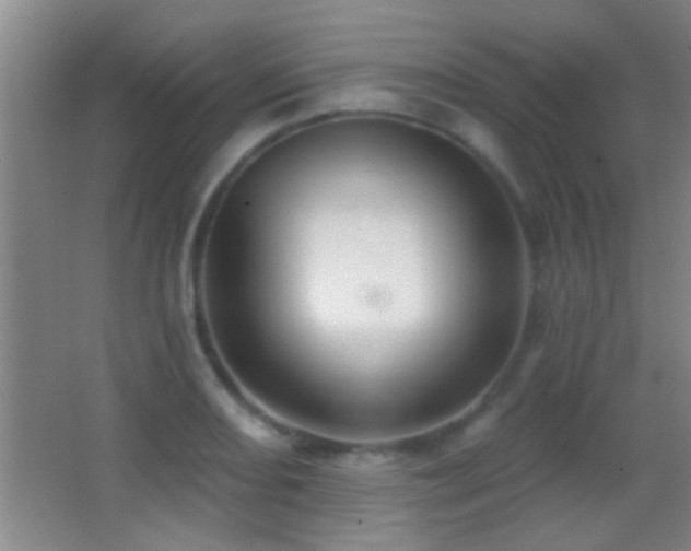 X0000062911082200601131420