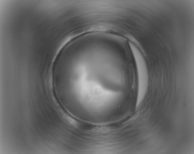 X0000062911083200601131420