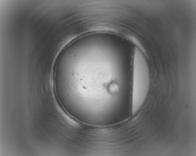 X0000062911084200601131420