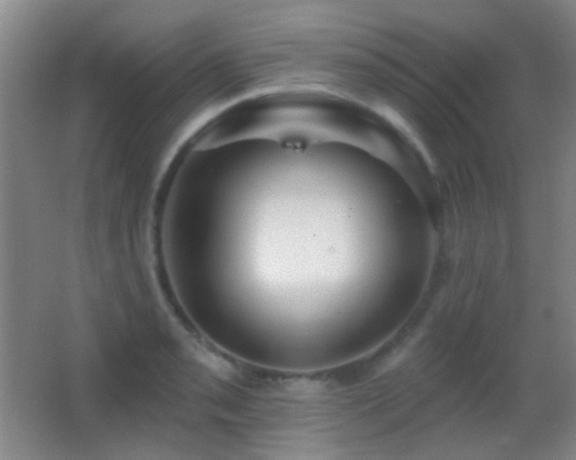 X0000062911085200601131420