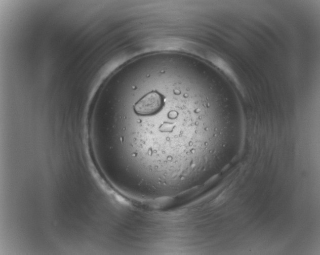 X0000062911088200601131420