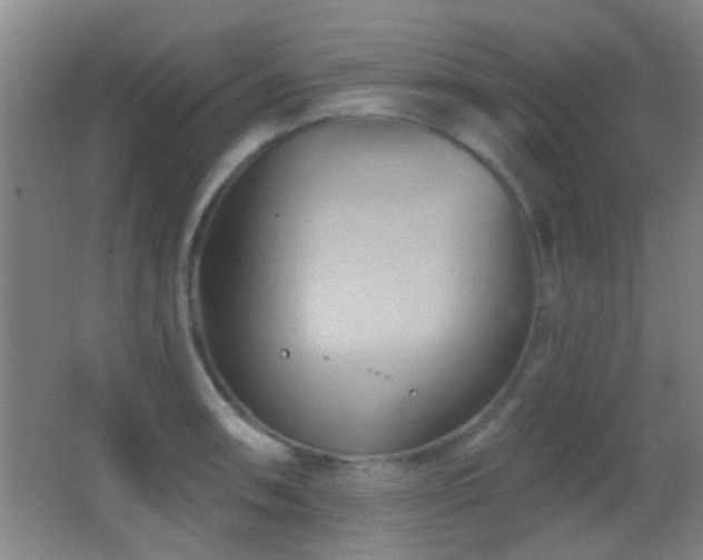 X0000062911090200601131420