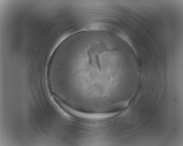 X0000062911091200601131420