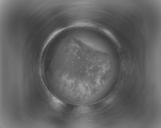 X0000062911094200601131420