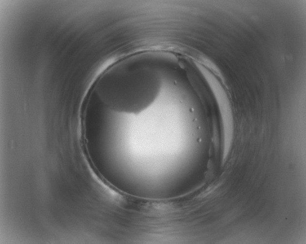 X0000062911095200601131420