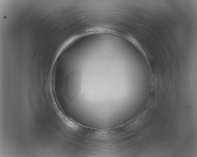 X0000062911098200601131420