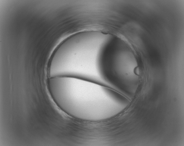 X0000062911099200601131420