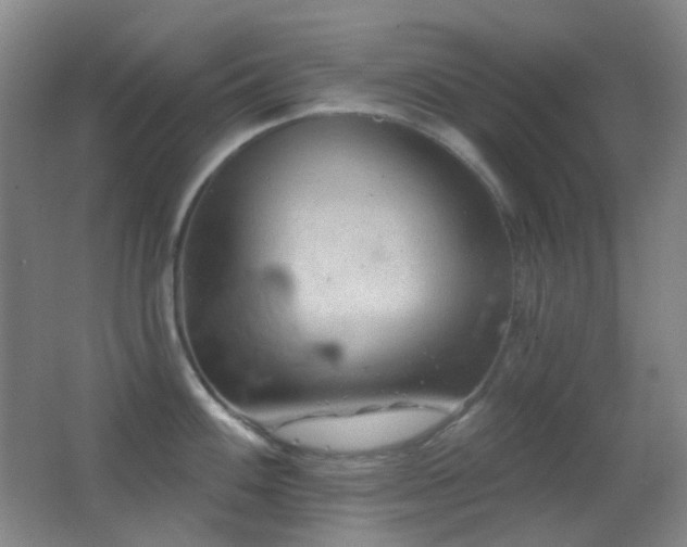 X0000062911100200601131420