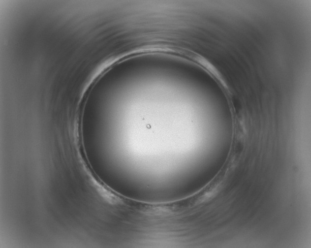 X0000062911101200601131420