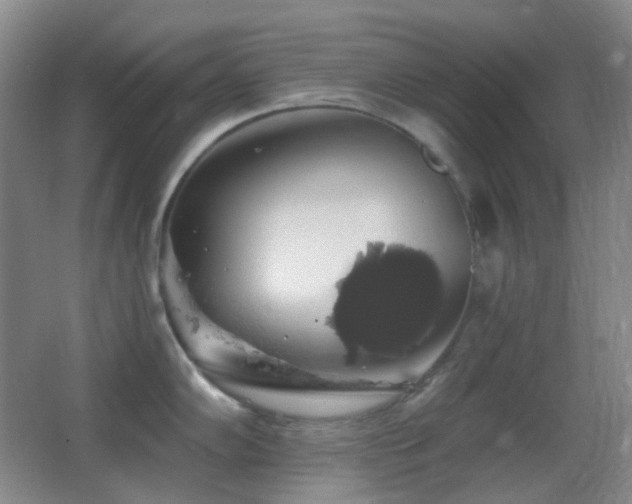 X0000062911102200601131420