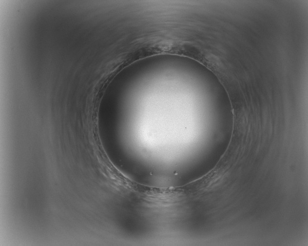 X0000062911105200601131419