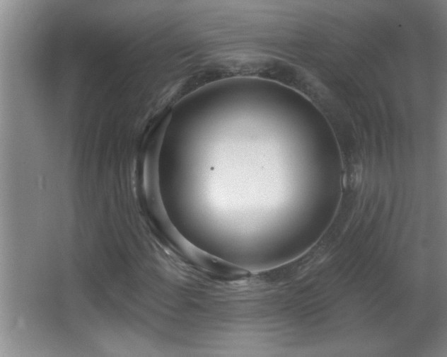 X0000062911108200601131419