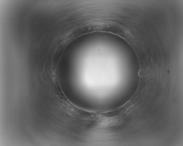 X0000062911109200601131419