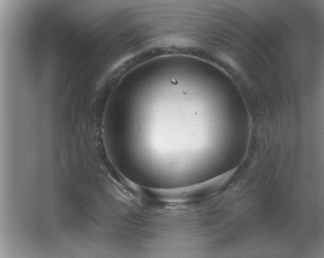 X0000062911112200601131419