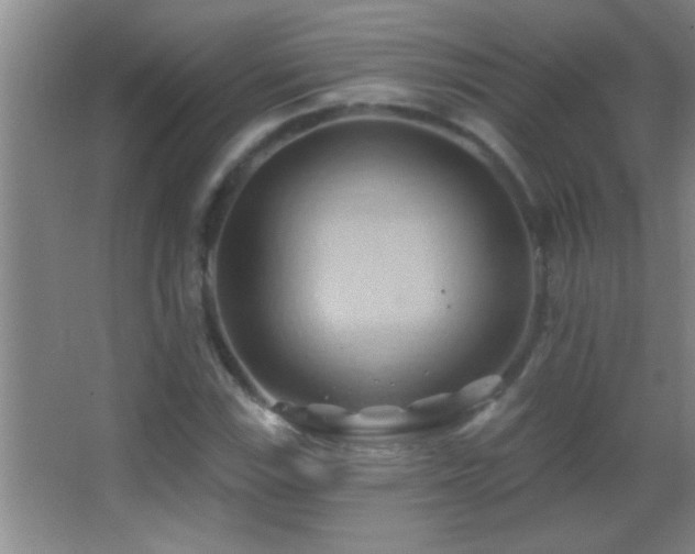 X0000062911115200601131419
