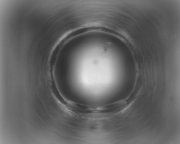 X0000062911118200601131419