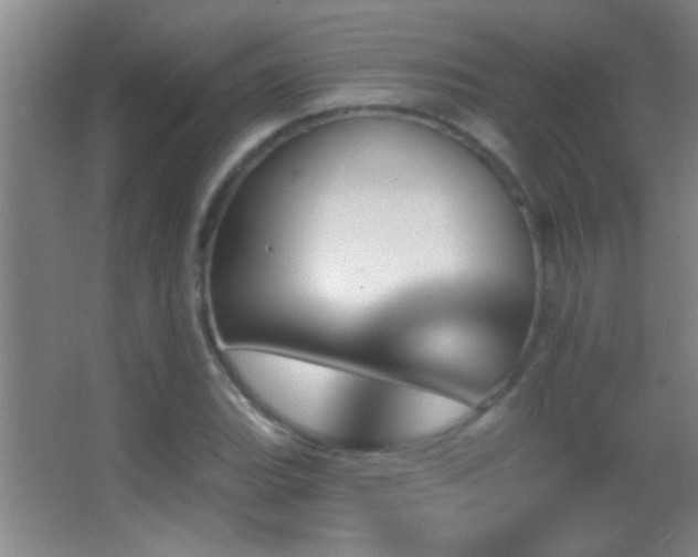 X0000062911119200601131419