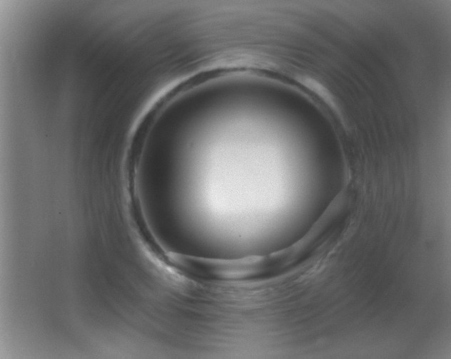 X0000062911120200601131419