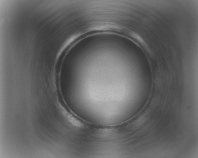X0000062911122200601131419