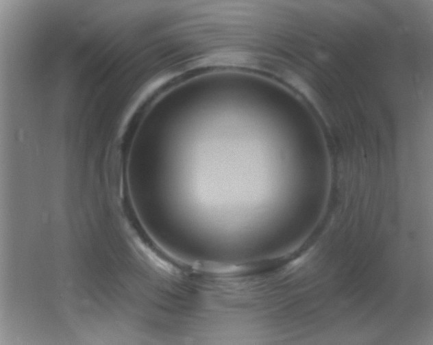 X0000062911123200601131419