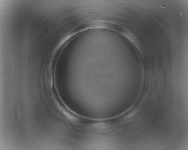 X0000062911127200601131419