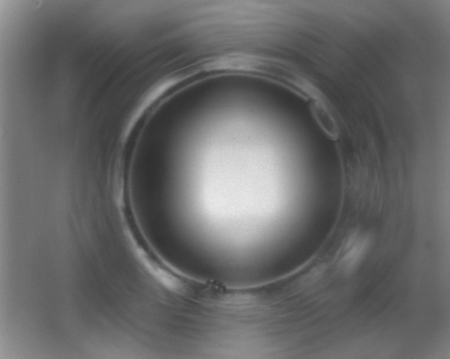 X0000062911131200601131419