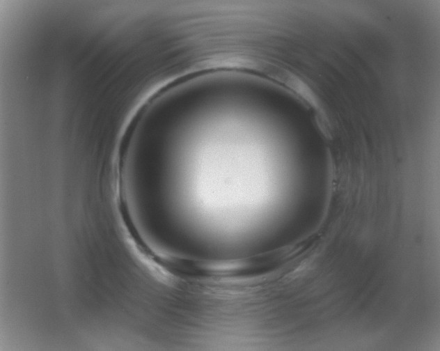 X0000062911132200601131419