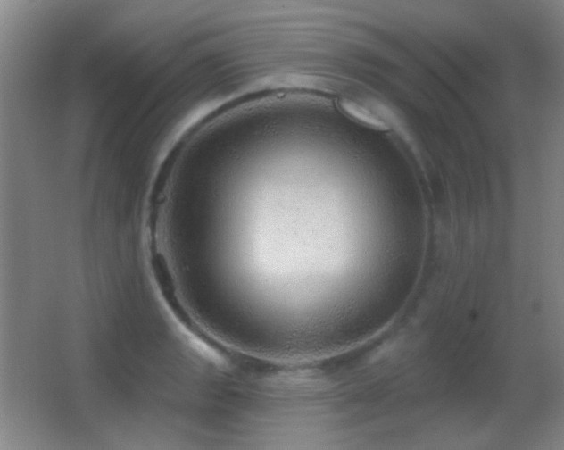 X0000062911133200601131419