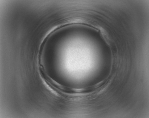 X0000062911134200601131419