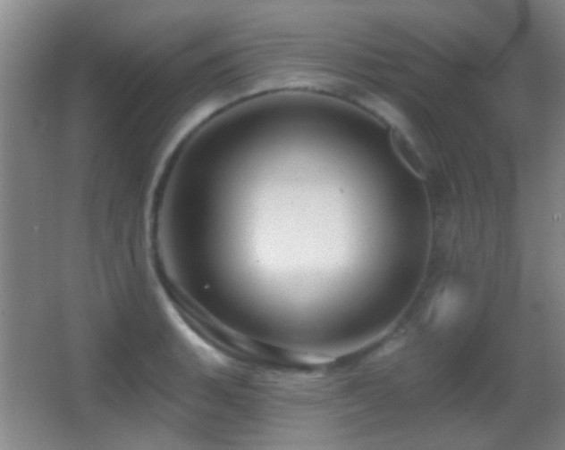 X0000062911135200601131419