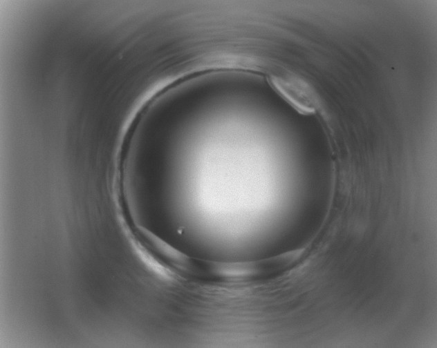 X0000062911136200601131419